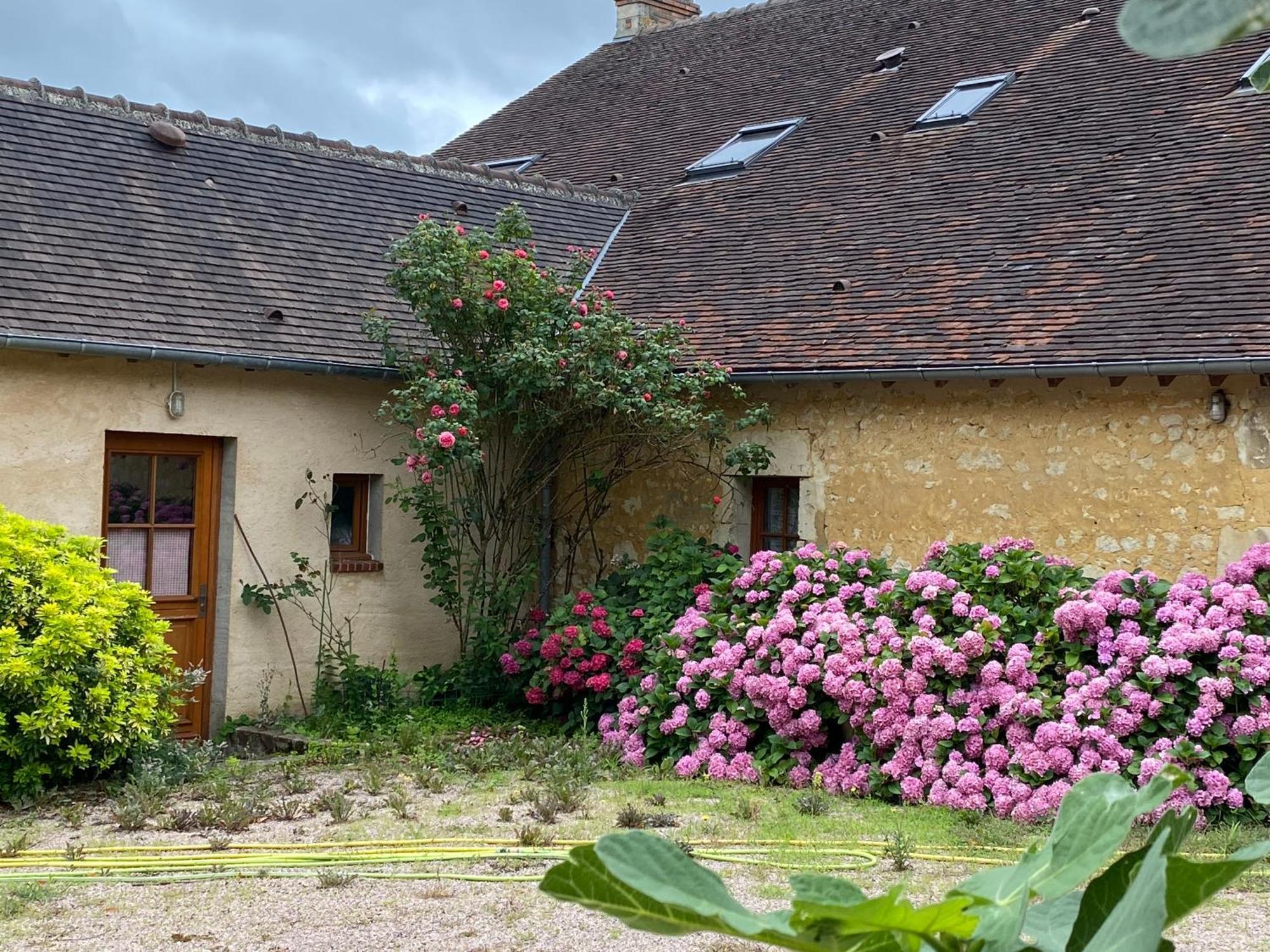 Chambre D'Hotes Du Domaine De La Haute Poignandiere Saint-Germain-de-la-Coudre Exterior foto